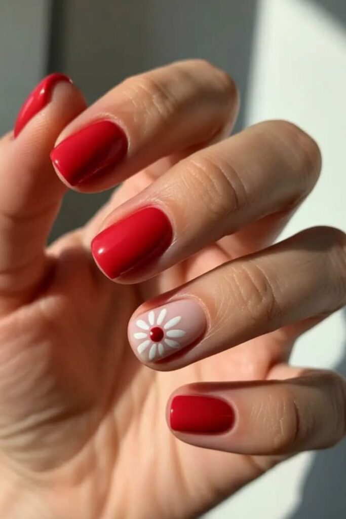 Short squoval nails painted in a glossy, vibrant red shade, with a single accent nail showcasing a white daisy with a red center on a nude background.