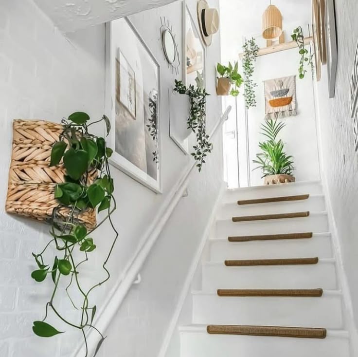 A bright staircase wall decorated with woven wall baskets containing lush green trailing plants.