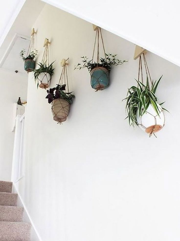 A neutral, minimalist staircase wall featuring four various potted plants hanging from individual wall pegs with macramé rope.