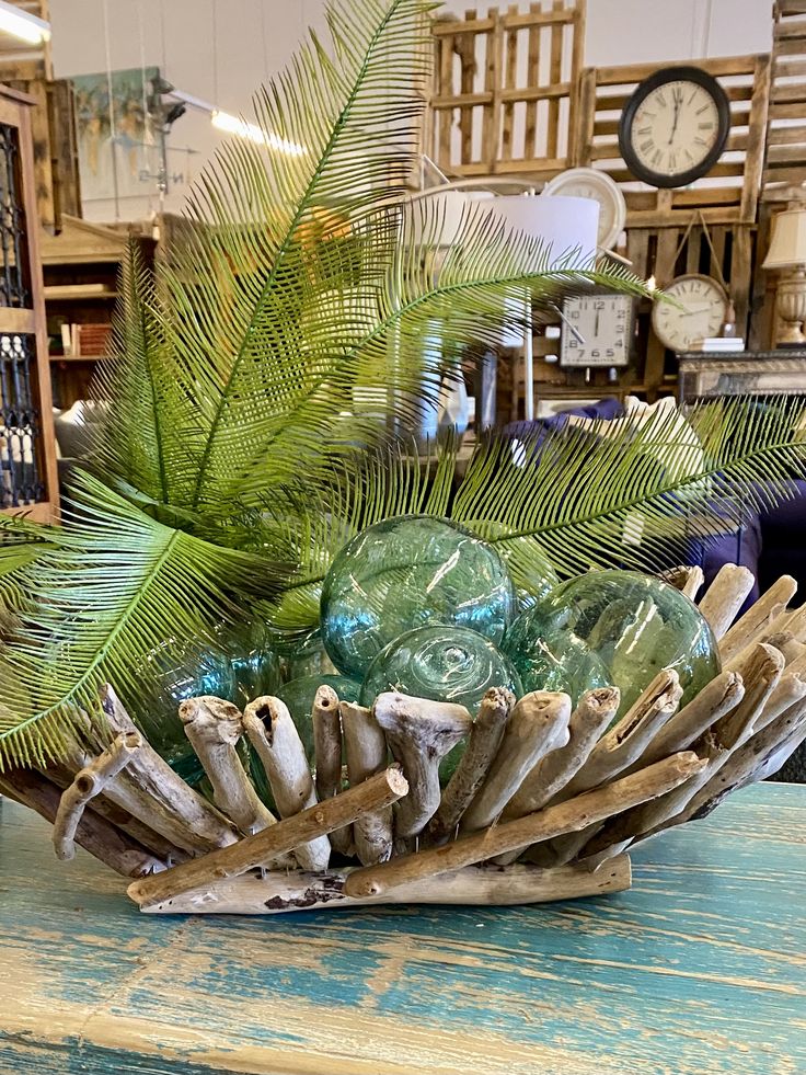 A side-angle view of a bowl constructed of intertwined driftwood branches on a teal distressed wooden table, overflowing with green glass fishing floats and large, feathery sago palm leaves.