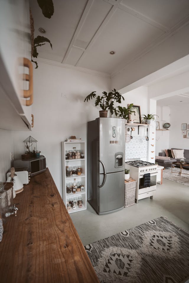 plant on top of fridge