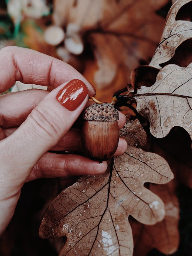 Autumnal Fingers: Nailing Cozy Fall Nail Trends
