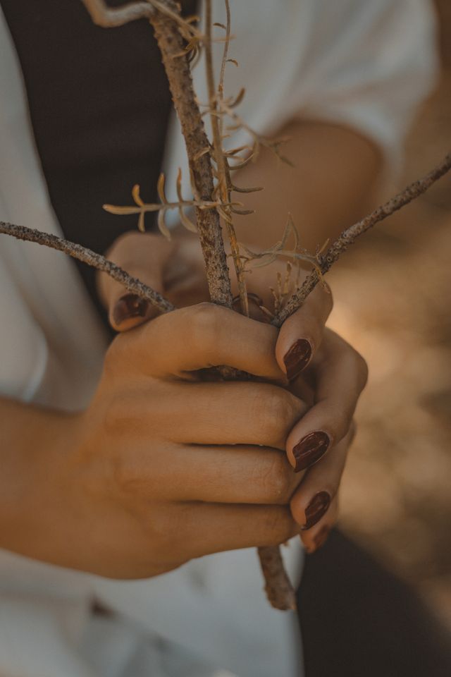 short brown nails holding twigs
